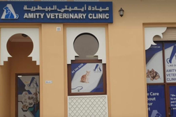 Amity Veterinary Clinic