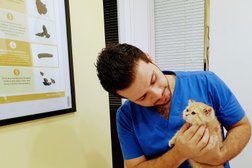 Pet Station Veterinary Clinic