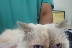 Petzone Veterinary Clinic